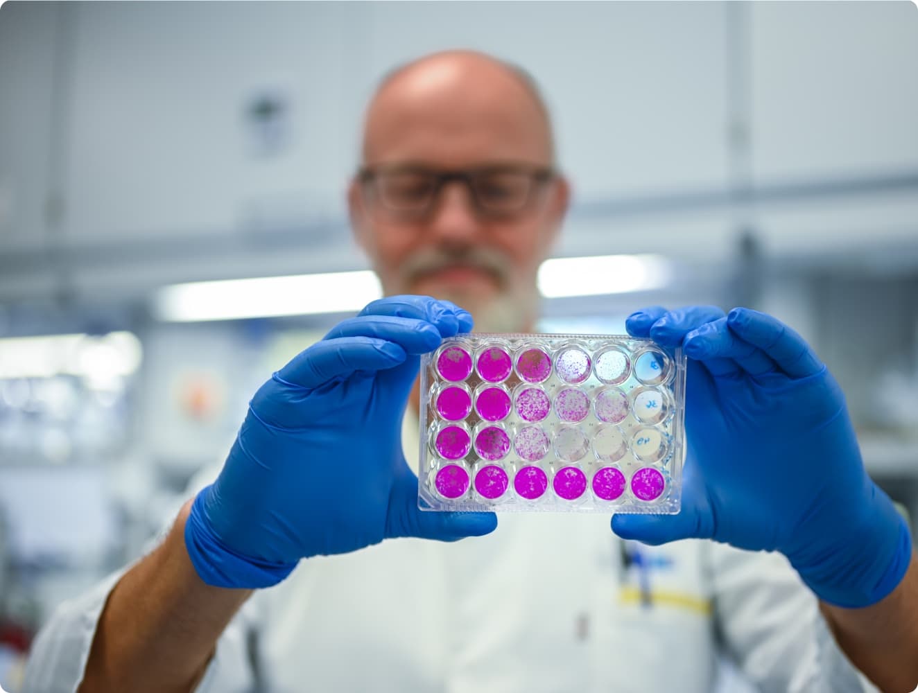 Ein Forscher betrachtet eine Probe und wertet diese aus